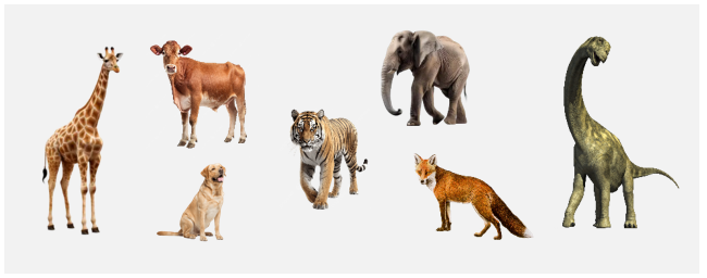 Animal Class
